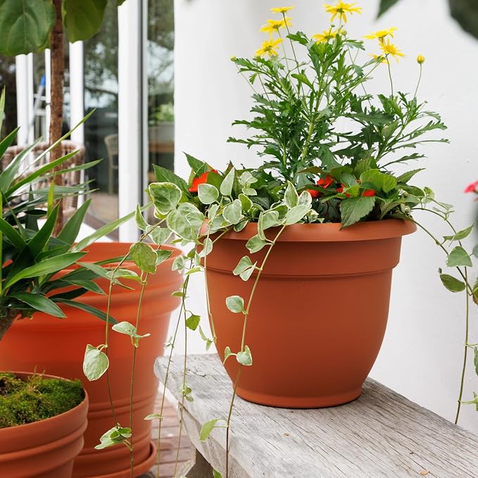 Bloem Ariana 10" Self-Watering Plastic Planter - Rolled Rim Indoor/Outdoor Garden Pot, Terra Cotta, 2-Pack