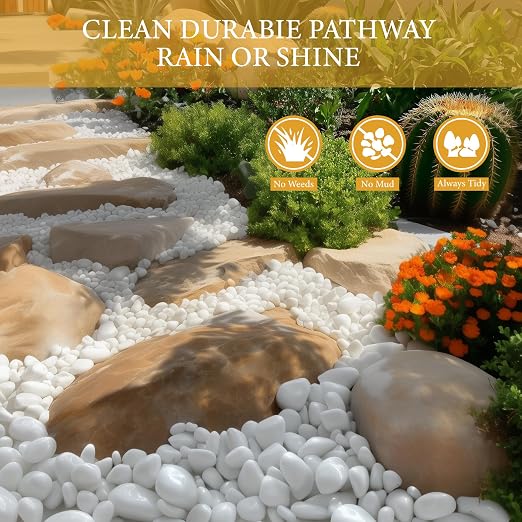 4lb White River Rocks for Plants, 1-3 Inch Pebbles for Indoor Plants, Polished Garden Rocks Outdoor Landscaping, Decorative Stones for Vases, Succulents, Aquarium, Walkways