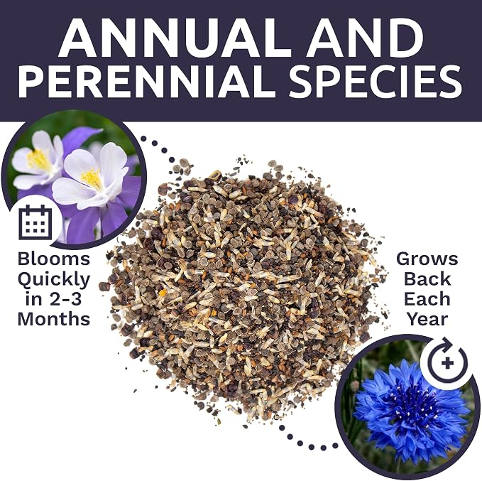 Bulk Wildflower Seeds Partial Shade Mix - 1/4 Pound Bag Over 30,000 Open Pollinated Annual and Perennial Seeds