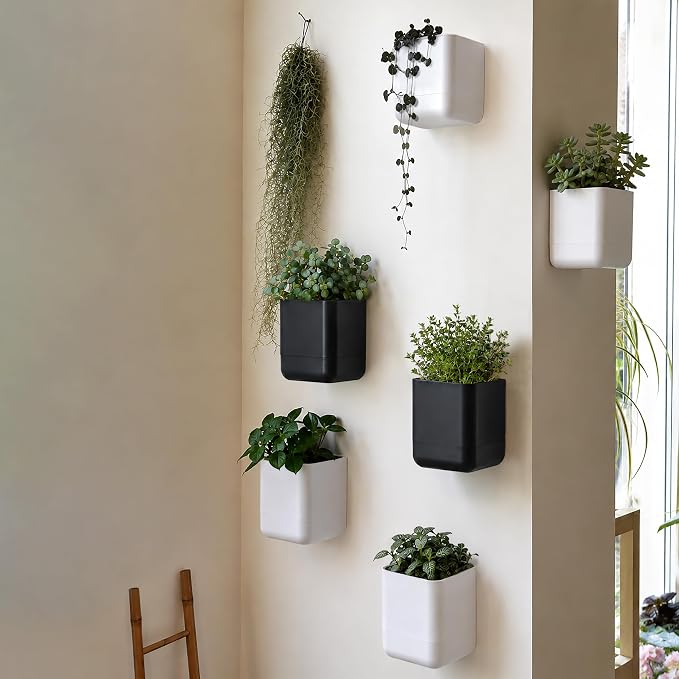 Phoenix Vine 4.5 Inch Wall Mounted Self-Watering Planter Pot for Indoor Houseplants and Herbs | Hanging Planter for Window Sills, Bathroom Walls, Home & Office Décor, White, Set of 1, 01-B-D-1