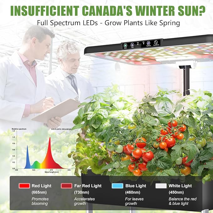 Large Hydroponics Growing System Kit,44-Pod with 3 Seed Packs | Includes Basil, Buttercrunch Lettuce & Gourmet Salad Mix seeds; 2-Tier, independent tanks and full-spectrum lights.