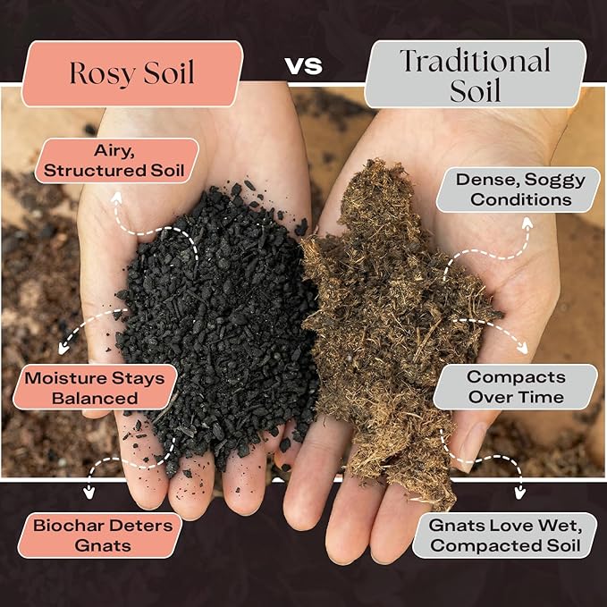 Rosy Soil Cactus & Succulent Potting Mix, 4 Quarts, Pack of 2 | Organic Succulent Potting Soil, Chunky Fast Draining, Peat-Free, Root Boosting Mix, For AloeVera, Cacti, Indoor Succulents