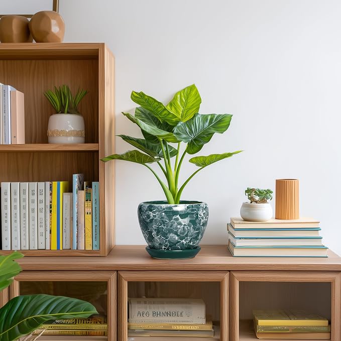 6 Inch Planter - Ceramic Plant Pots Indoor with Drainage Hole and Saucer, Indoor Plant Pots for Flowers Plants, Round Modern Small Planter, Bedroom Decor, Plants Lover Gift, Bubble Green