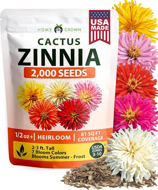 HOME GROWN Zinnia Cactus Mix Seeds – 2000 Heirloom Non-GMO Flower Seeds for Spring 2026 Planting Outdoors, Large Cactus Blooms, Tall Cut Flower Garden, USDA Zones 3–10 (Zinnia elegans)