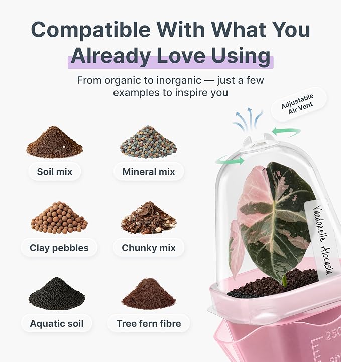 12 Pack 2.5" Small Pink Self Watering Pot with Humidity Dome for Indoor Plant,Clear Seed Starter Cup,Tissue Culture Acclimation Kit,Alocasia Corm Propagation,African Violet,Cutting,Seedling
