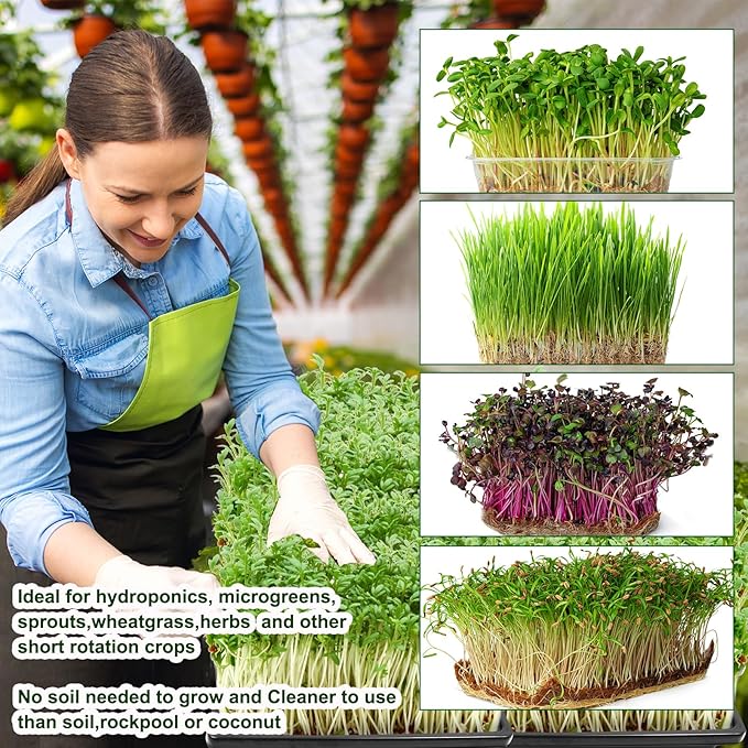 16 PCS Microgreen Mats, 10" X 10" Plant Grow Mat Hydroponic Grow Pads Microgreens Sprouting Mats Microgreens Kit for 1020 Germination Trays Wheatgrass Sprouts