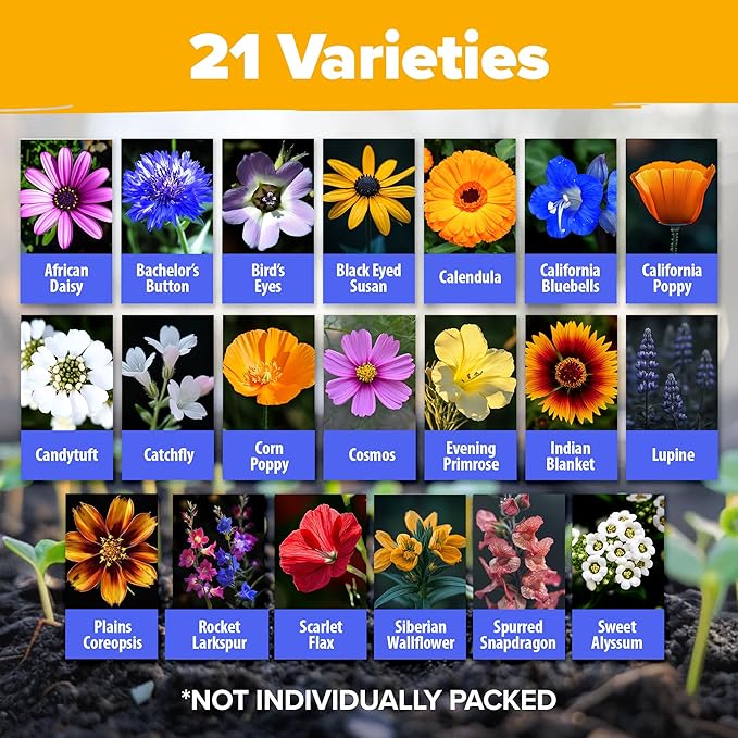 HOME GROWN Wildflower Seeds Bulk Mix | 110,600+ Non-GMO Annual Flower Seed for Planting | 21 Varieties for Butterfly & Pollinator Garden | 3 oz