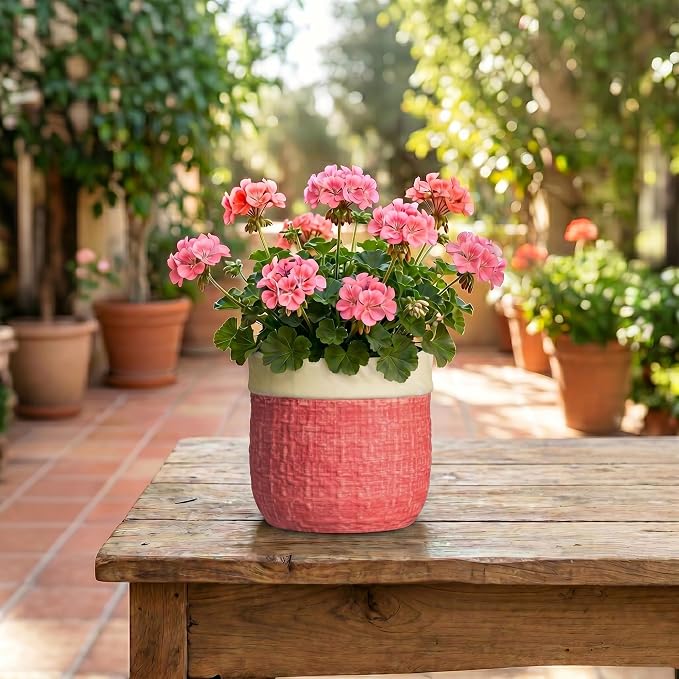 6 Inch Pots for Plants, Ceramic Planter, Round Flower Pots, Red | Boho Planter with Drainage Hole, Decorative Plant Pot for Indoor Plants, Office Desk Decor, Gardening Gifts for Women