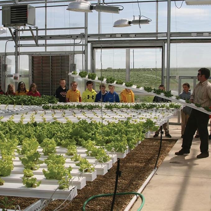 Hydroponic Salad Crop Production Guide