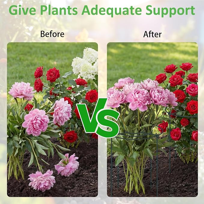 Pelopy Large Peony Cages and Supports 23.6"H x 15.7"D Heavy Duty Plant Support for Outdoor Plants, Meatl Peony Rings, Flower Support Stakes, Garden Stakes for Rose Tomato Hydrangea Strawberry(4 Pack)