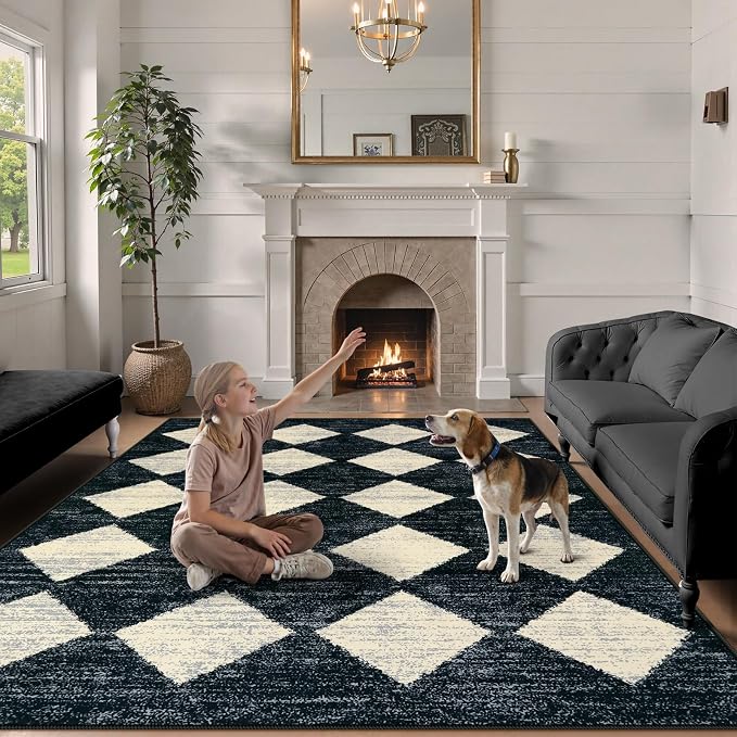 Lahome Machine Washable Area Rug 6x9, Soft Large Bedroom Rug Non Slip Living Room Rugs Dining Room Rugs for Under Table, Moroccan Trellis Printed Black and White Indoor Carpet for Den Dorm Playroom