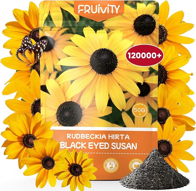 120,000+ Black Eyed Susan Seeds for Planting, Perennial Wildflower Seeds for Pollinator Gardens, Heirloom Flower Seeds to Plant Outside & Inside, Borders, Containers, Rudbeckia hirta