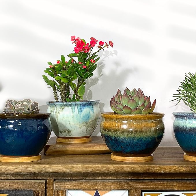 5.5 Inch Succulent Pot with Drainage and Free Saucer Glazed Terracotta Round Ceramic Succulent Planter Cactus Bonsai Plant Pot (Set of 4)