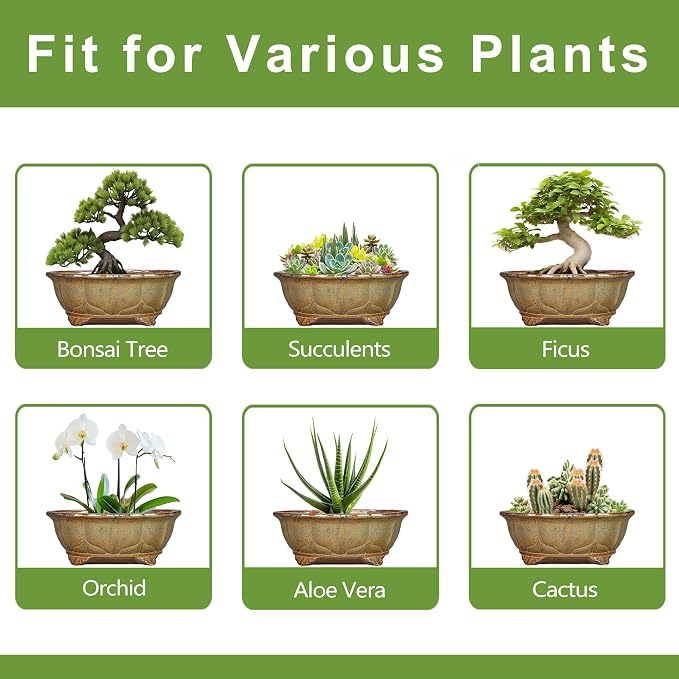 Ceramic Bonsai Pots - 11 Inch Succulent Planters for Indoor Outdoor Plants, Bonsai Tree Pots with Drainage Hole, Shallow Succulent Plant Pot, Room Decor, Plant Lover Gift, Oval Yellowish Brown