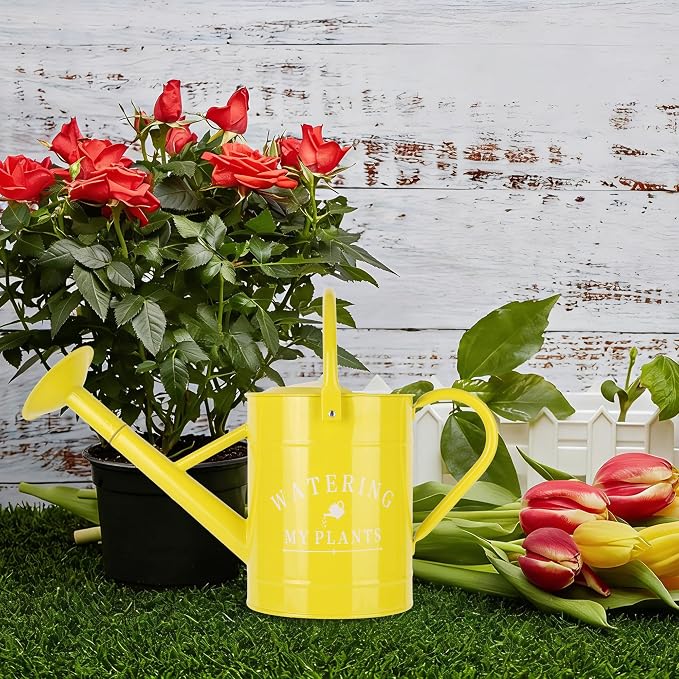 Garutom Galvanized Watering Can for Outdoor Indoor Plants, 1 Gallon Decorative Countryside Water Can with Removable Spout, Metal Watering Can for Indoor Plants and Garden Flower (Yellow)
