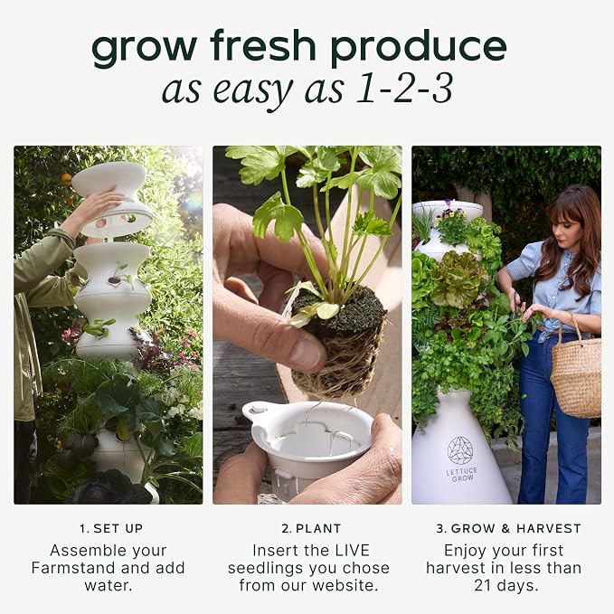Lettuce Grow Farmstand Starter Kit with Glow Rings and 12 Seedling Credits | Tiny Hydroponic Growing System Kit | Vertical Garden Planter Tower | 3ft 8in Tall