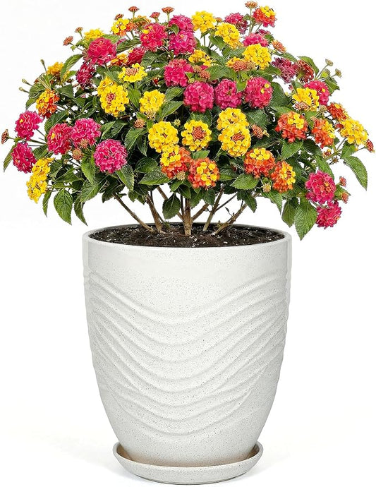 9.5 Inch Flower Pots for Indoor Plants,Ceramic Planter with Saucer Drainage Leak-Proof Mesh Gardening Gloves (Water-Ripple White)
