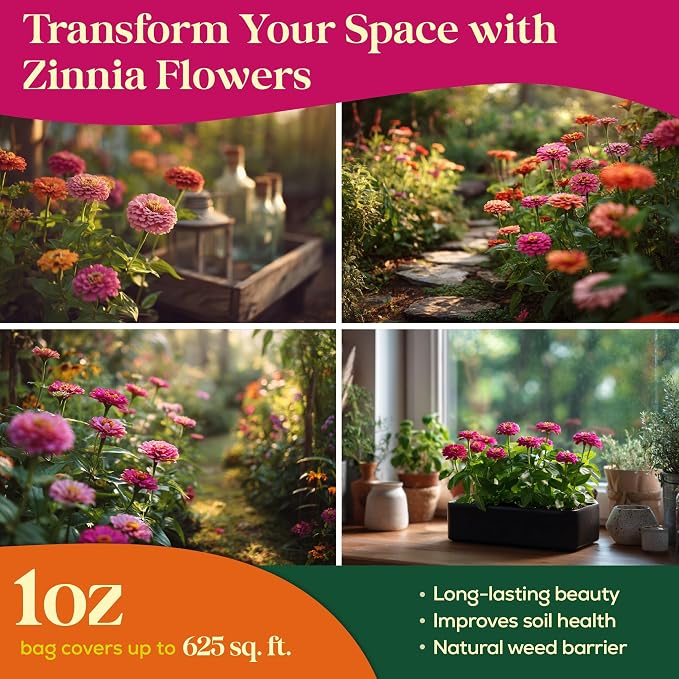 Seedphony Zinnia Seeds Pack 1 oz - 3,800 Non-GMO Heirloom Zinnia Seeds for Planting, Perennial Flowers in Waterproof Seed Packet, Wildflower Seeds for Planting Garden Indoor & Outdoor Gardening