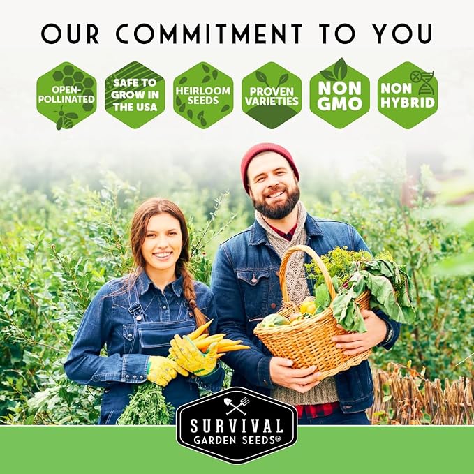 Southern Vegetable Seeds Collection – 15 Heirloom Heat Loving Vegetables Variety Pack for Planting – Okra, Collard Greens, Purple Hull Peas, Dent Corn – Survival Garden Seeds
