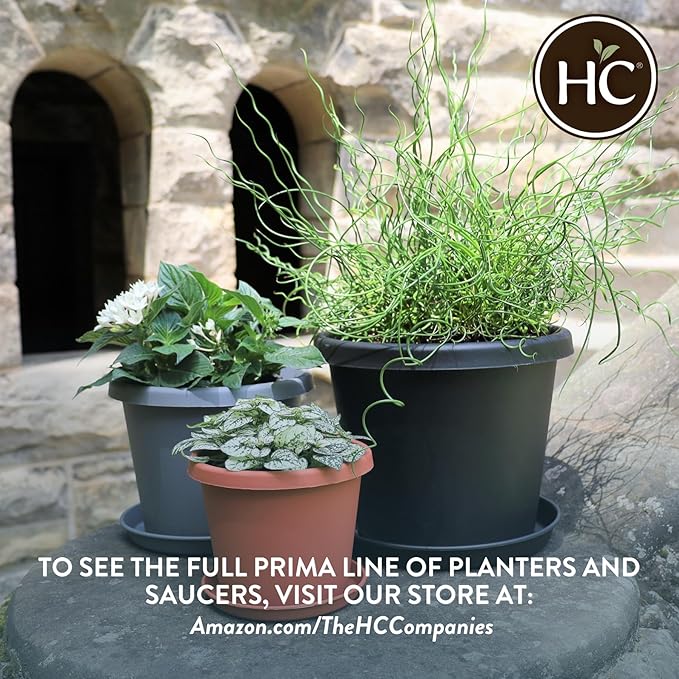 The HC Companies 20 Inch Round Prima Planter - Large Plastic Plant Pot with Rolled Rim for Indoor Outdoor Plants Flowers Herbs, Black
