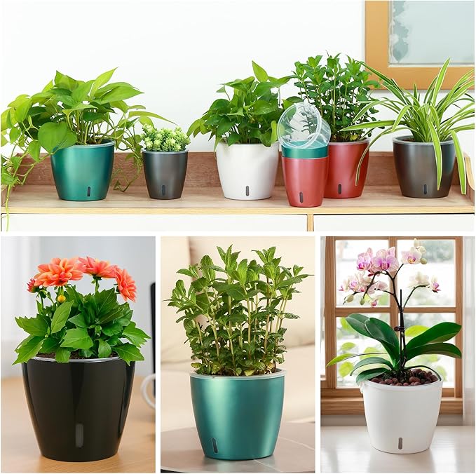Self-Watering Pots for Indoor Plants, 6-Pack 6.7'' Self Watering Planter with Drainage Holes, Small African Violet Pots with Water Indicator, Clear Wick Pot, Black