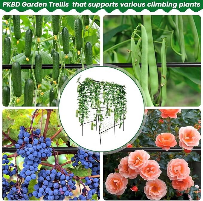 PKBD Tall Garden Arch Trellis for Climbing Plants Outdoor, 7.5 ft Tall Polyethylene-Coated Stainless Steel Garden Arch for Climbing Vine Vegetable/Fruit/Flower, Cucumber Trellis for Raised Bed, Black