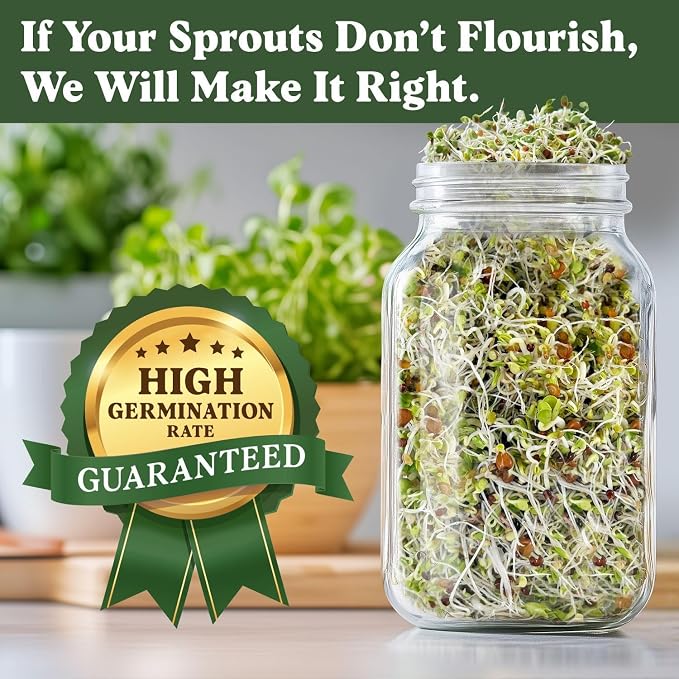 Seedboy Organic Non-GMO Sprouting Seeds, Superfood & Protein Blend - 2 Pack Bundle - USA Grown Sprouting & Microgreens Seeds - Two 8 oz Bags Makes 14 Quarts / 56 Servings (Superfood/Protein)