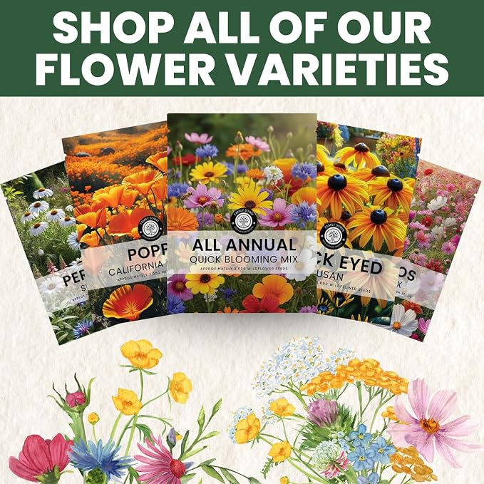 All Annual Quick Blooming Mix - 16,000 Flower Seeds for Planting - Wildflower Mix - Large 1 Ounce Packet