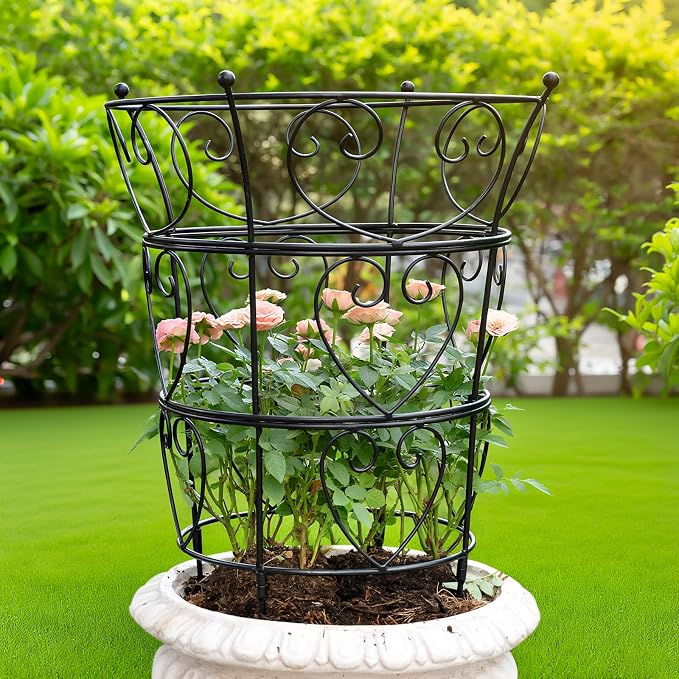 Large Obelisk Trellis Peony Cage 24.6x17 Inches - Premium Metal Plant Support for Outdoor Gardens, Easy Assembly, Sturdy Design, Perfect for Climbing Plants