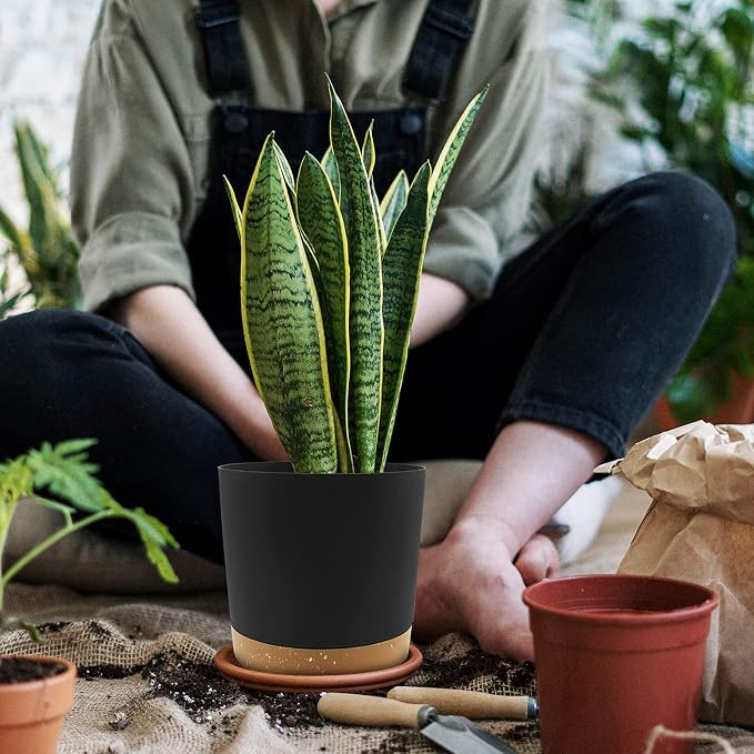 QCQHDU 8 inch Plant Pot, 2 Pack Planters for Indoor Plants with Drainage Holes & Saucer, Outdoor Flower Pots Home Garden Modern Decor