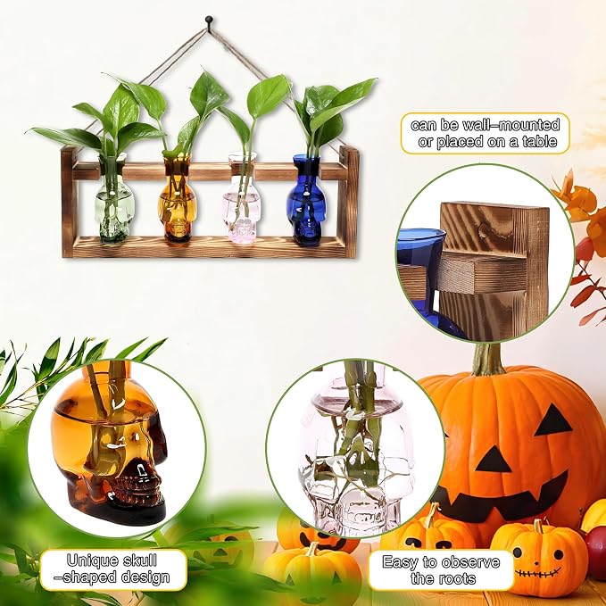 Plant Propagation Stations Halloween Skull Plant Terrarium Kit | Glass Vases Gift for Father Air Planter Home Office Decor