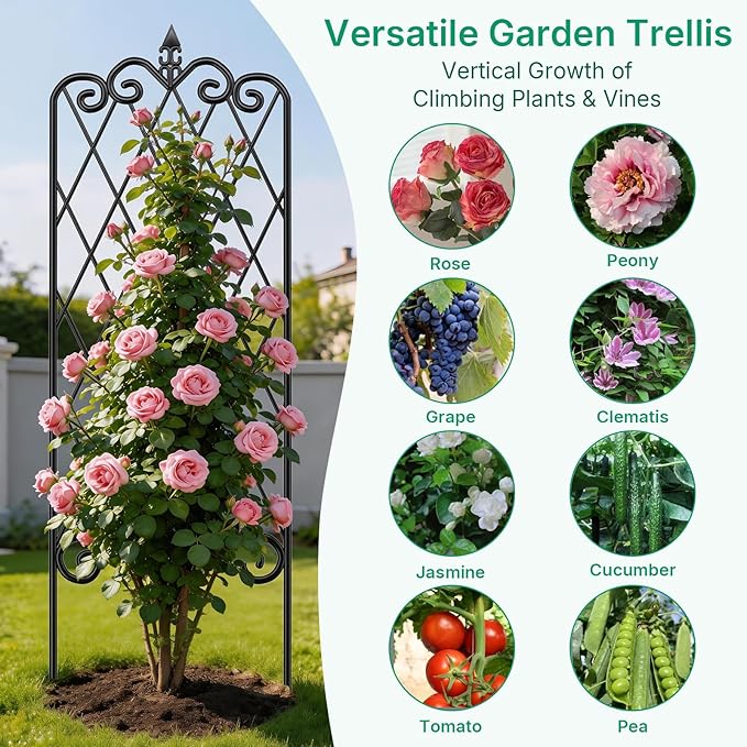 Amagabeli 2 Pack Garden Trellis for Climbing Plants 60" x 18" Rustproof Black Iron Potted Vines Vegetables Vining Flowers Patio Metal Wire
