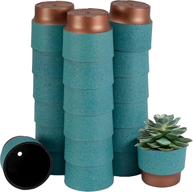 The HC Companies 2.5 Inch Sprite Mini Succulent Pot - Small Plastic Planter with Drainage for Indoor Plants, Turquoise (20 Pack)