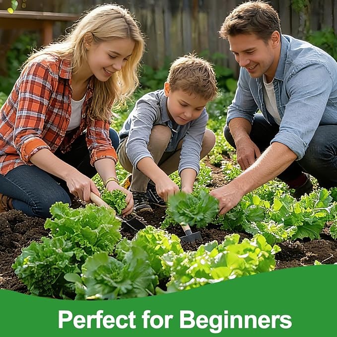 Lettuce Seeds, 10 Varieties Individual Packs, 40000+ Non-GMO Heirloom Vegetable Seeds for Planting Indoor Outdoor for Fresh Salad, Easy to Grow for Garden Beginners, Gifts for Women Men Plant Lovers.