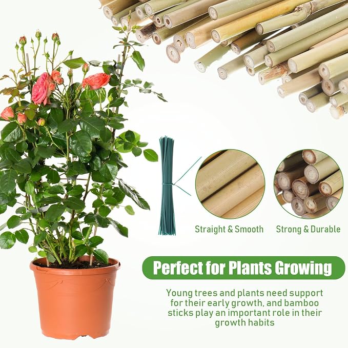 Suclain 30 Pcs Bamboo Plant Stakes Natural Garden Support Sticks for Climbing Plants Sturdy Bamboo Garden Stakes for Tomato, Beans, Flowers and Potted Plants, Vegetables, Indoor & Outdoor (1 ft)