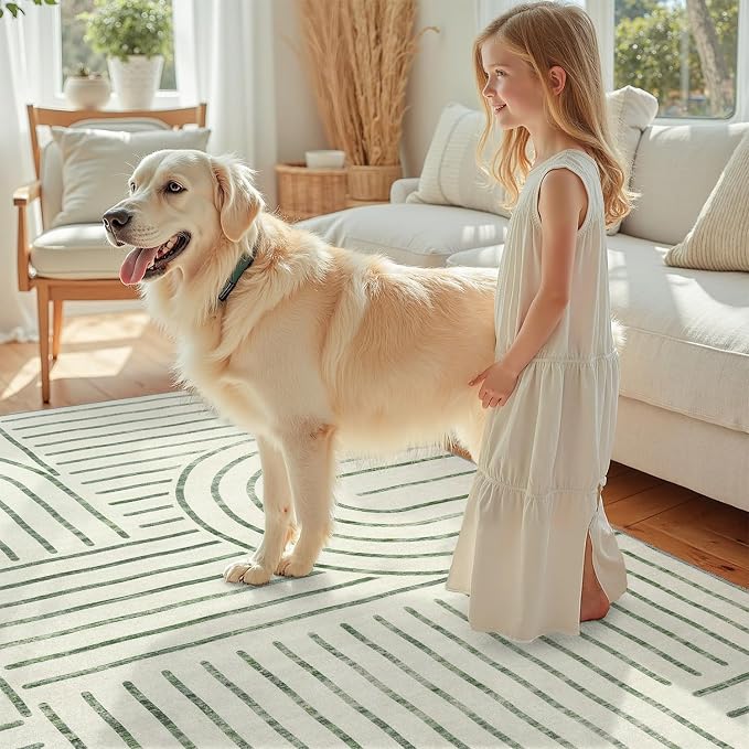 DCX Abstract Washable 5x7 Rug, Non Slip Low Pile Rug, Green | Rugs for living room, bedroom, dining room, office, soft, mid century modern rug, sain resistant indoor carpet, home decor