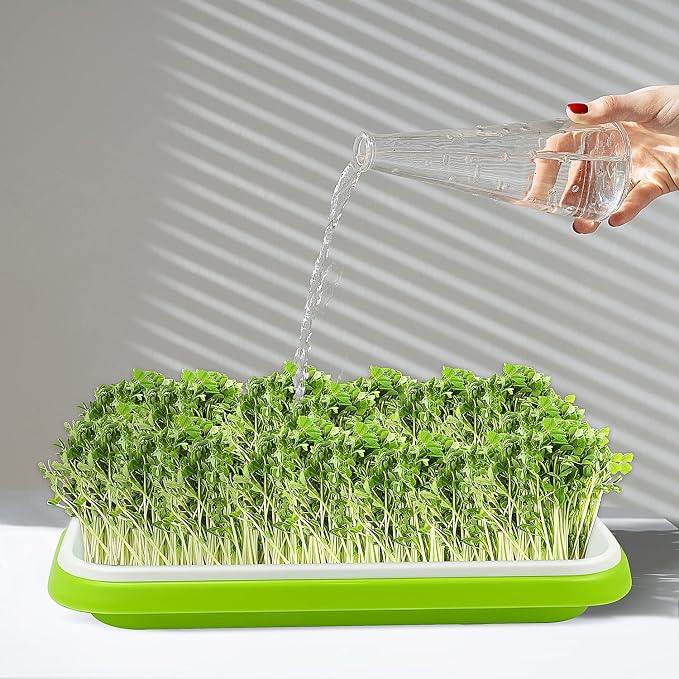 Seed Sprouting Tray, 5 Packs Microgreens Growing Trays Big Capacity Sprouts Growing Kit Soil-Free Sprouter Tray for Sprouting Seeds, Beans, Wheatgrass