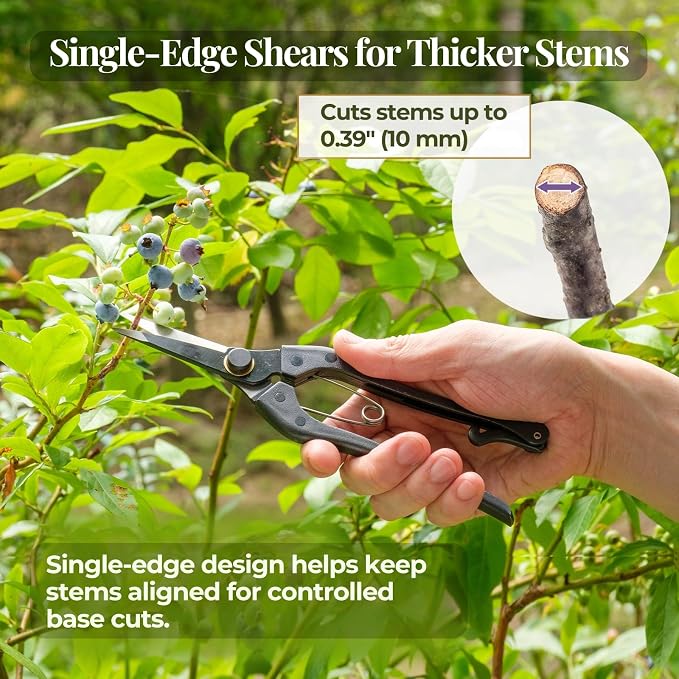 Wablade Japanese Pruning Shears Single-Edge, 8.2-Inch Precision Pruning Scissors for Thicker Stems & Base Cutting, Cuts Up to 0.39" (10 mm), Forged Alloy Steel Blade, Made in Japan