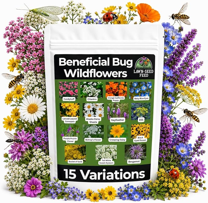 Beneficial Bug Wildflower Seeds (2oz) – Pollinator-Friendly Garden Mix