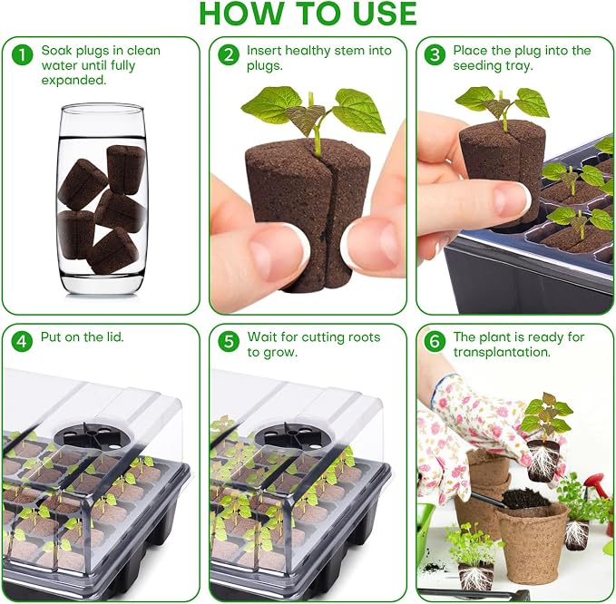 40 Pcs Grow Sponges with Tray, Plant Starter Plugs for Cuttings, Great for Soil, Tray or Planting Pods Plant Rooter, Promotes Herbs, Vegetables and Flowers Growth