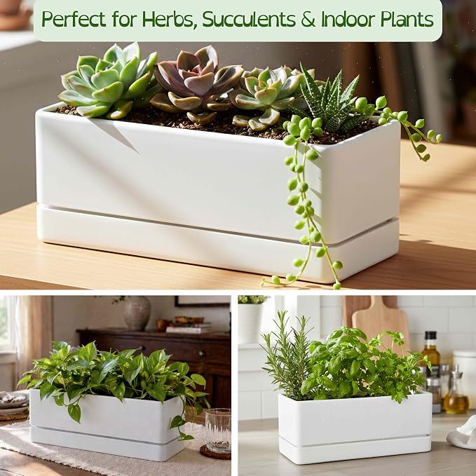D'vine Dev 12 Inch Window Box Planter, Rectangle Plastic Herb Planter with Drainage Holes and Saucer, Indoor Succulent Cactus Vegetable Pot for Windowsill, Garden Balcony, White, Set of 1, 76-X-A-1