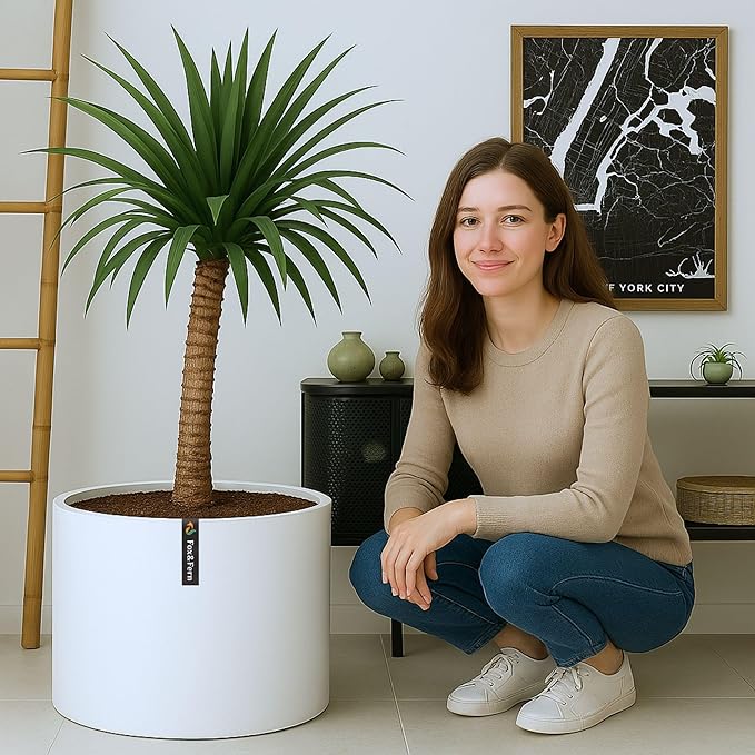 Fox & Fern Large Indoor Planter, Modern Large Plant Pot for Indoor or Outdoor, UV and Frost Resistant - 18.7 Inch, Fiberstone, Matte White Flower Pot with Drainage Plug, Lightweight