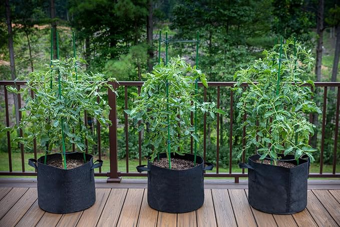 Gardzen 10-Pack 1 Gallon Grow Bags, 300G Thickened Fabric Grow Bags with Handles, Heavy Duty Aeration Plant Grow Bags for Indoor & Outdoor Use