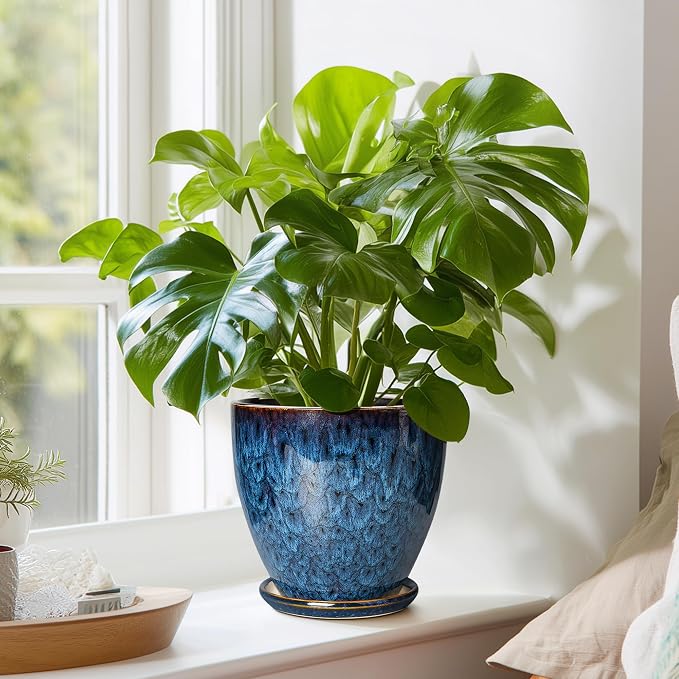 6 Inch Plant Pot - Ceramic Pots for Plants with Drainage Hole and Saucer, Ceramic Planters for Indoor Plants Outdoor, Decorative Round Planter, Room Home Decor, Gifts for Plant Lovers, Blue