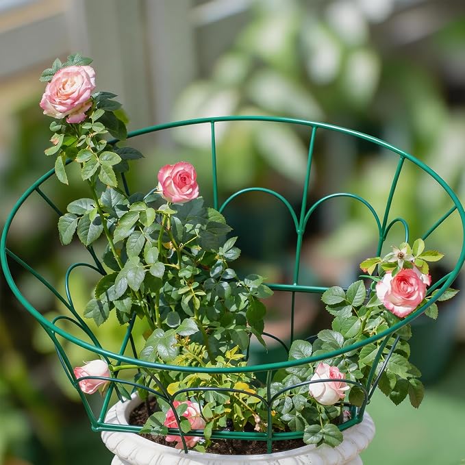 27.5“ Peony Supports for Outdoor Plants -Durable Metal Cages for Peonies, Dahlias & Hydrangeas - Sturdy Garden Stakes, Easy Assembly, Weather Resistant - Decorative Gift for Garden Enthusiasts