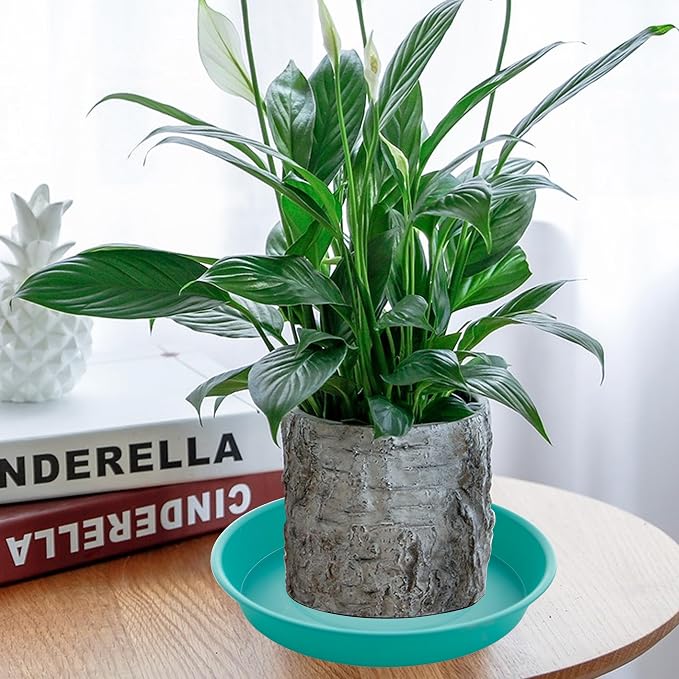 2 Pack of 10 inch Plant Saucer Gray, Heavy Duty Plastic Plant Saucer 10 inch Round, Durable Plant Tray for Pots, Plant Saucers for Indoors, Plant Trays for Planter 9"/10" (10", Teal)