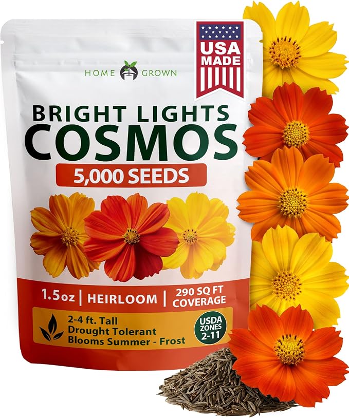 HOME GROWN Cosmos Bright Lights Mix Seeds – 5000 Sulphureus for Planting Spring 2026, Refined Wildflower Herb Seed Mix, Easy Grow Outdoor Flower for Gardens