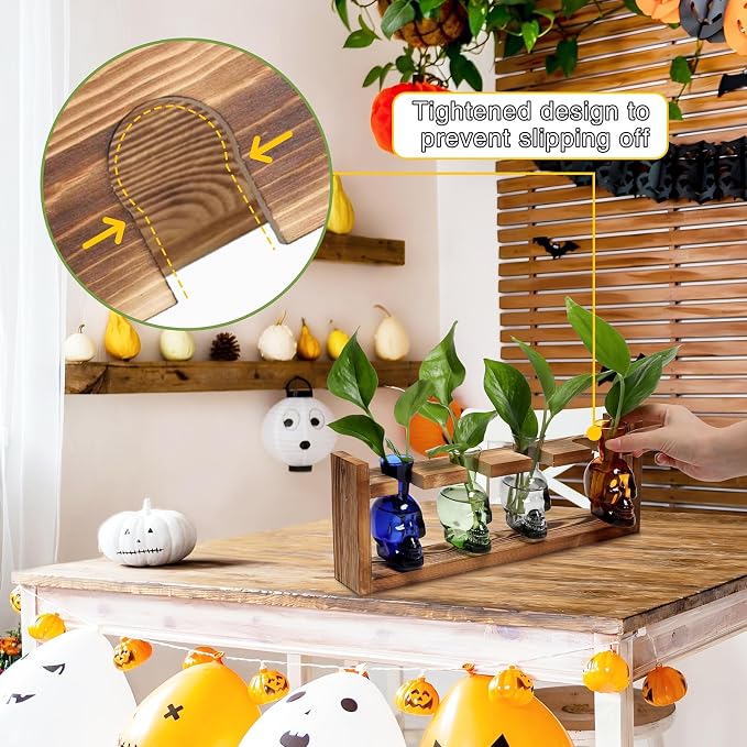 Plant Propagation Stations Halloween Skull Plant Terrarium Kit | Glass Vases Gift for Father Air Planter Home Office Decor