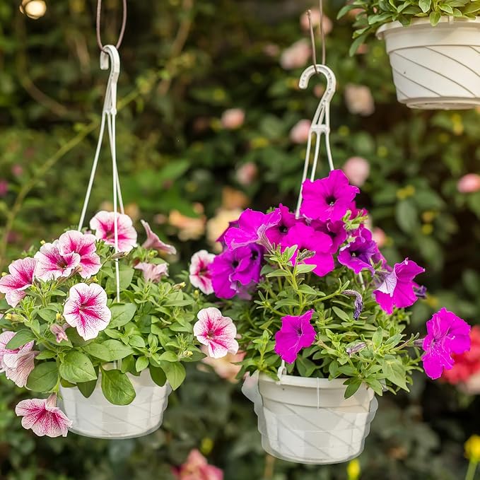 Baderke 12 Pcs Hanging Plant Water Catcher Tray Includes 4 Pcs Clear Plastic Plant Saucer Drip Pans for Indoor Outdoor Hanging Basket Flower Pot (6 8 10 Inch)