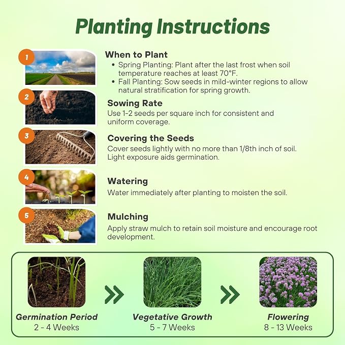 Outsidepride 1 lb. Perennial Chives Herb Garden Seeds for Microgreens, Sprouts, & Cooking